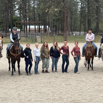 JT Ranch Horse Riding Training Team