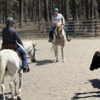 JT Ranch Horse Riding Training