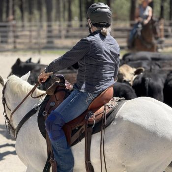 JT Ranch Horse Riding Training
